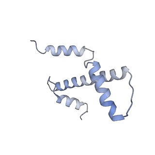 28612_8eue_A_v1-1
Class1 of the INO80-Nucleosome complex