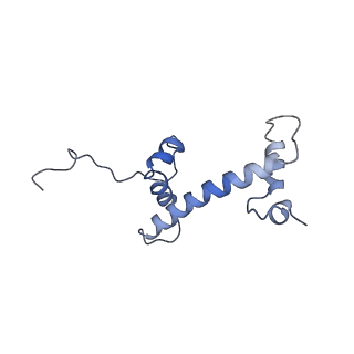 28612_8eue_C_v1-1
Class1 of the INO80-Nucleosome complex