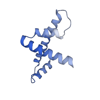 28612_8eue_D_v1-1
Class1 of the INO80-Nucleosome complex