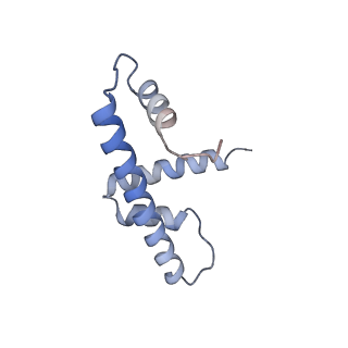 28612_8eue_H_v1-1
Class1 of the INO80-Nucleosome complex