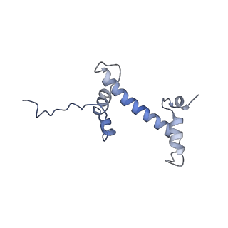 28612_8eue_K_v1-1
Class1 of the INO80-Nucleosome complex