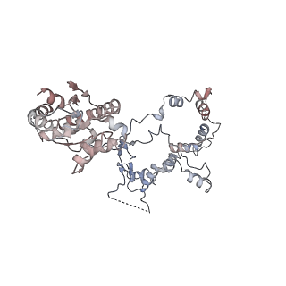28613_8euf_Q_v1-2
Class2 of the INO80-Nucleosome complex