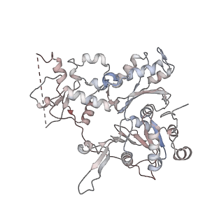 28613_8euf_R_v1-2
Class2 of the INO80-Nucleosome complex