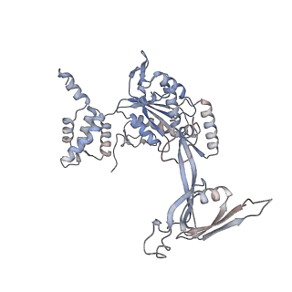 28613_8euf_T_v1-2
Class2 of the INO80-Nucleosome complex
