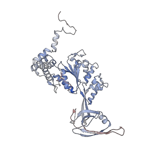 28613_8euf_U_v1-2
Class2 of the INO80-Nucleosome complex