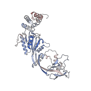 28613_8euf_V_v1-2
Class2 of the INO80-Nucleosome complex