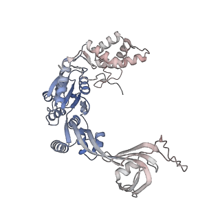 28613_8euf_W_v1-2
Class2 of the INO80-Nucleosome complex