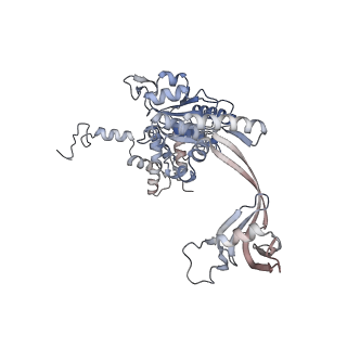 28613_8euf_Y_v1-2
Class2 of the INO80-Nucleosome complex
