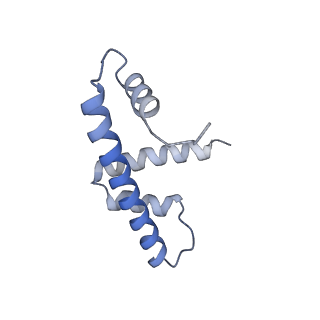 28614_8euj_H_v1-1
Class2 of the INO80-Nucleosome complex