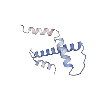 28614_8euj_M_v1-1
Class2 of the INO80-Nucleosome complex