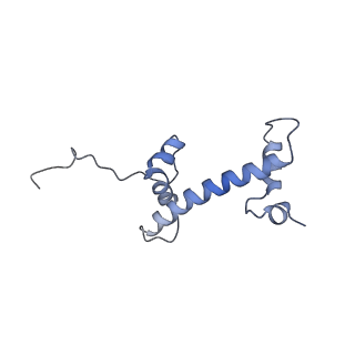 28614_8euj_a_v1-1
Class2 of the INO80-Nucleosome complex