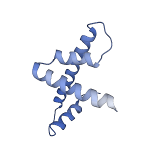 28614_8euj_b_v1-1
Class2 of the INO80-Nucleosome complex
