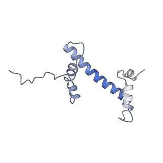 28614_8euj_k_v1-1
Class2 of the INO80-Nucleosome complex