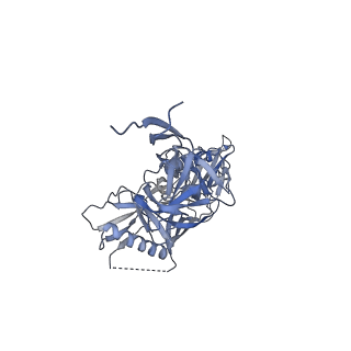 28618_8euv_A_v1-1
Cryo-EM structure of HIV-1 BG505 DS-SOSIP ENV trimer bound to VRC34.01-COMBO1 FAB