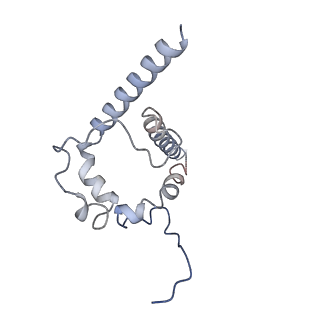 28618_8euv_B_v1-0
Cryo-EM structure of HIV-1 BG505 DS-SOSIP ENV trimer bound to VRC34.01-COMBO1 FAB