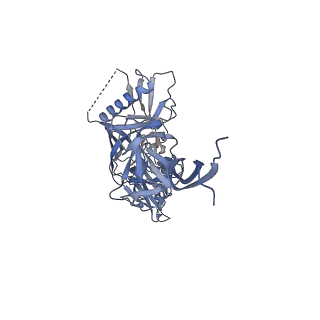 28618_8euv_C_v1-1
Cryo-EM structure of HIV-1 BG505 DS-SOSIP ENV trimer bound to VRC34.01-COMBO1 FAB