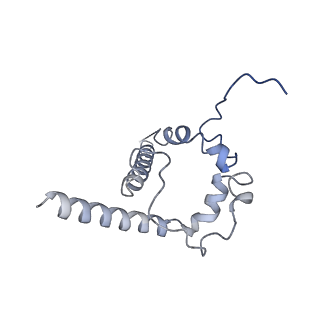 28618_8euv_F_v1-0
Cryo-EM structure of HIV-1 BG505 DS-SOSIP ENV trimer bound to VRC34.01-COMBO1 FAB