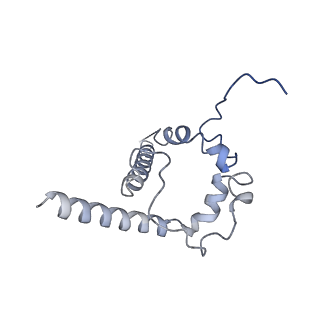 28618_8euv_F_v1-1
Cryo-EM structure of HIV-1 BG505 DS-SOSIP ENV trimer bound to VRC34.01-COMBO1 FAB