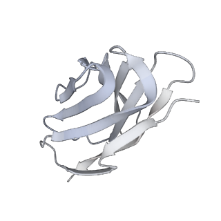 28618_8euv_H_v1-0
Cryo-EM structure of HIV-1 BG505 DS-SOSIP ENV trimer bound to VRC34.01-COMBO1 FAB