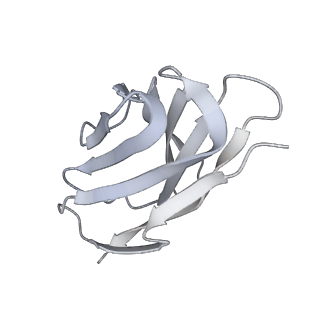 28618_8euv_H_v1-1
Cryo-EM structure of HIV-1 BG505 DS-SOSIP ENV trimer bound to VRC34.01-COMBO1 FAB