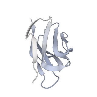 28618_8euv_J_v1-1
Cryo-EM structure of HIV-1 BG505 DS-SOSIP ENV trimer bound to VRC34.01-COMBO1 FAB