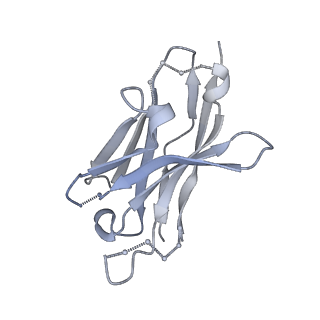 28618_8euv_K_v1-0
Cryo-EM structure of HIV-1 BG505 DS-SOSIP ENV trimer bound to VRC34.01-COMBO1 FAB
