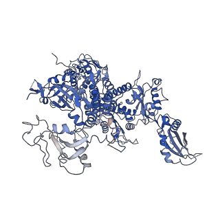 31305_7eu0_A_v1-1
The cryo-EM structure of A. thaliana Pol IV-RDR2 backtracked complex
