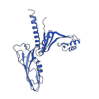31305_7eu0_C_v1-1
The cryo-EM structure of A. thaliana Pol IV-RDR2 backtracked complex
