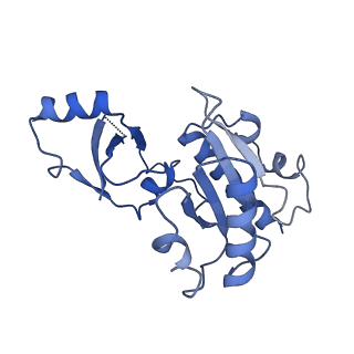 31305_7eu0_E_v1-1
The cryo-EM structure of A. thaliana Pol IV-RDR2 backtracked complex