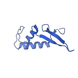 31305_7eu0_F_v1-1
The cryo-EM structure of A. thaliana Pol IV-RDR2 backtracked complex