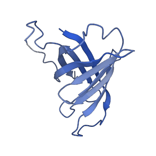 31305_7eu0_H_v1-1
The cryo-EM structure of A. thaliana Pol IV-RDR2 backtracked complex