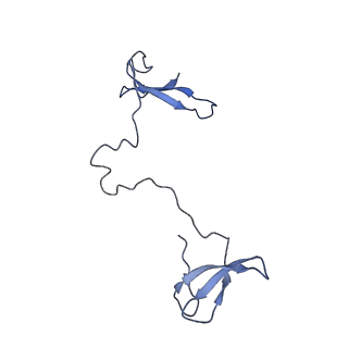 31305_7eu0_I_v1-1
The cryo-EM structure of A. thaliana Pol IV-RDR2 backtracked complex