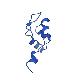 31305_7eu0_J_v1-1
The cryo-EM structure of A. thaliana Pol IV-RDR2 backtracked complex