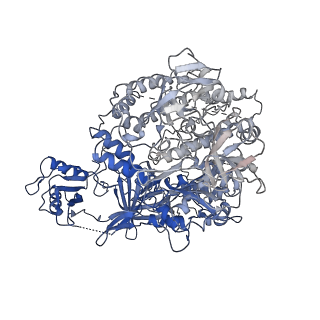 31305_7eu0_M_v1-1
The cryo-EM structure of A. thaliana Pol IV-RDR2 backtracked complex