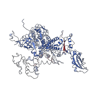 31306_7eu1_A_v1-1
The cryo-EM structure of A. thaliana Pol IV-RDR2 holoenzyme