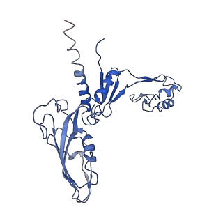 31306_7eu1_C_v1-1
The cryo-EM structure of A. thaliana Pol IV-RDR2 holoenzyme