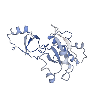 31306_7eu1_E_v1-1
The cryo-EM structure of A. thaliana Pol IV-RDR2 holoenzyme
