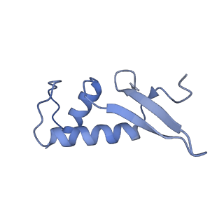 31306_7eu1_F_v1-1
The cryo-EM structure of A. thaliana Pol IV-RDR2 holoenzyme
