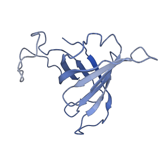31306_7eu1_H_v1-1
The cryo-EM structure of A. thaliana Pol IV-RDR2 holoenzyme