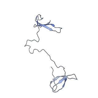 31306_7eu1_I_v1-1
The cryo-EM structure of A. thaliana Pol IV-RDR2 holoenzyme