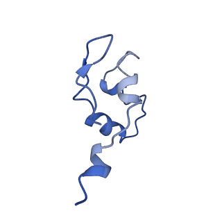 31306_7eu1_J_v1-1
The cryo-EM structure of A. thaliana Pol IV-RDR2 holoenzyme