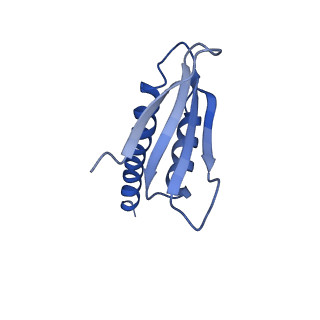 31306_7eu1_K_v1-1
The cryo-EM structure of A. thaliana Pol IV-RDR2 holoenzyme