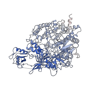 31306_7eu1_M_v1-1
The cryo-EM structure of A. thaliana Pol IV-RDR2 holoenzyme
