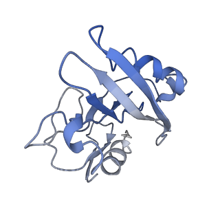 31307_7eu3_1_v1-1
Chloroplast NDH complex