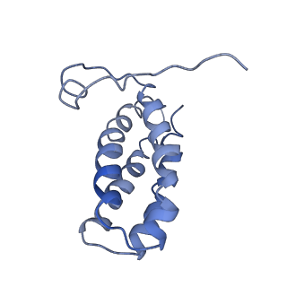 31307_7eu3_2_v1-1
Chloroplast NDH complex