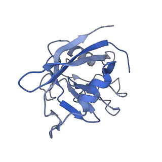 31307_7eu3_5_v1-1
Chloroplast NDH complex