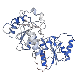 31307_7eu3_6_v1-1
Chloroplast NDH complex
