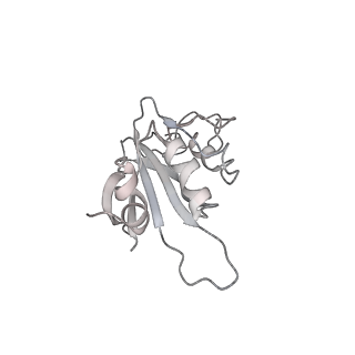 31307_7eu3_J_v1-1
Chloroplast NDH complex