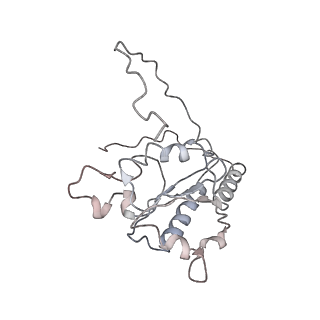 31307_7eu3_K_v1-1
Chloroplast NDH complex