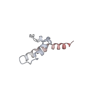 31307_7eu3_L_v1-1
Chloroplast NDH complex